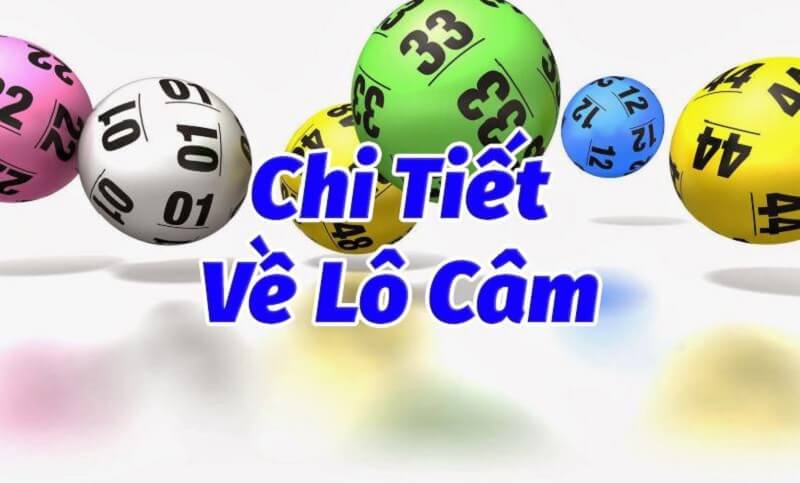 Lô câm Nam Định – Thống kê đầu đuôi câm XSND chính xác nhất