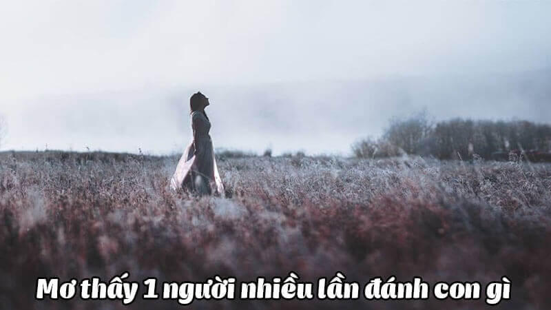 Mơ Thấy 1 Người Nhiều Lần Tương Ứng Với Con Số Gì?