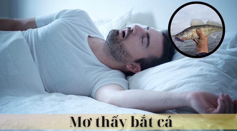 Giải mã giấc mơ thấy bắt cá – Điềm tốt hay điềm xấu đến từ tương lai