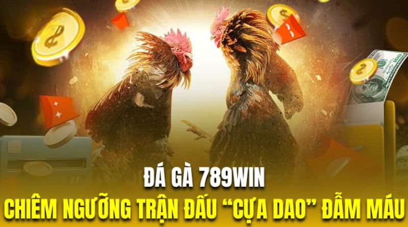 Những Điều Bet Thủ Cần Biết Khi Tham Gia Đá Gà Cựa Dao Tại 789Win